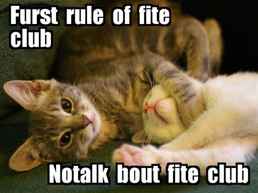 LOLcatz fite club